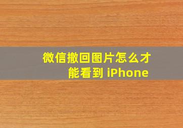 微信撤回图片怎么才能看到 iPhone